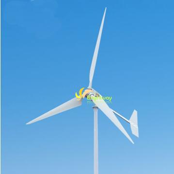 600W 800W 1000W 3kw 5kw 10kw 25000W Générateur d'éolienne Système de moulin à vent