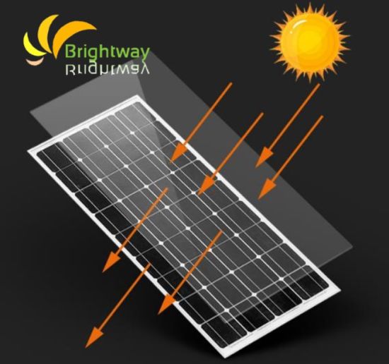 Module Solaire Silicium Monocristallin 100W