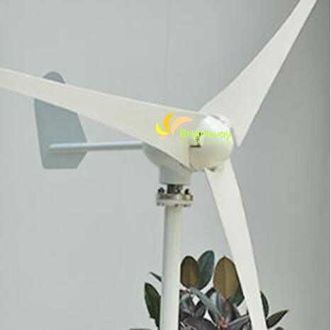 300W 400W 500W Small Turbine Generator